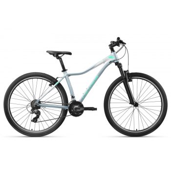 Cyclision Corpha 6 29" L (19") Minty Gray