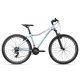 Cyclision Corpha 6 29" L (19") Minty Gray