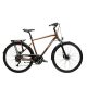 Kross Trans 5.0 Férfi L(21") Barna-Ezüst