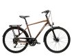 Kross Trans 5.0 Férfi L(21") Barna-Ezüst