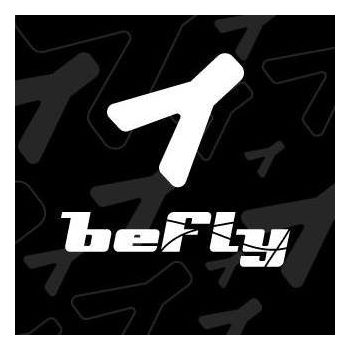 BeFly